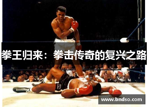 拳王归来：拳击传奇的复兴之路