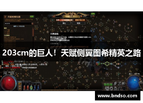 203cm的巨人！天赋侧翼图希精英之路